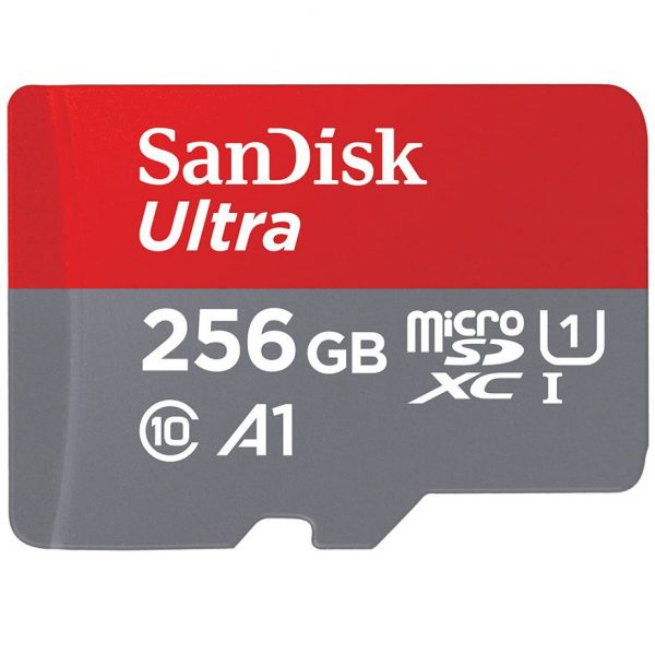 Sandisk 256gb2