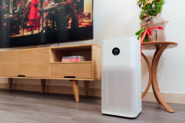 Photo 1 15765571096341487114993 1576561571414 15765615714181916023375